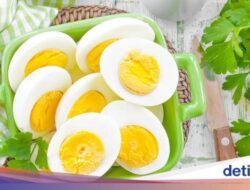Segini Kalori Satu Telur Rebus, Apakah Bagus Sebagai Asupan Minuman?