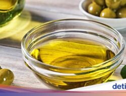 Benarkah Konsumsi Bergizi Migas Zaitun Rusak Di Dipakai Menggoreng?