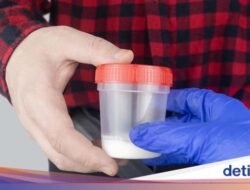 Terungkap! Puluhan Donor Sperma Di Belanda Didalam Sebab Itu Ayah 25 Anak, Picu Risiko Inses