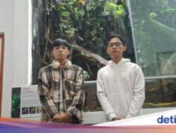 Buat Kenang-kenangan, Alasan Pelaku Ukir ‘Adi+Santo’ Di Kaktus Kebun Raya Bogor