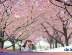 Momen Luna Maya Kulineran hingga Dilamar Di Jepang