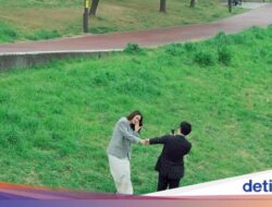 Indahnya Bunga Sakura Bermekaran Serupa Cinta Luna Maya yang Mekar Ke Jepang