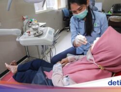 Apa Itu Tukang Gigi? Bedanya Di Praktisi Medis Gigi dan Terapis Gigi-Mulut
