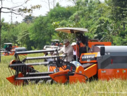 Kita Butuh Orang Pintar, tapi yang Paling Penting Punya Akal dan Cinta Rakyat