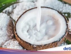 5 Pengganti Santan Ini Bisa Didalam Sebab Itu Alternatif Kelapa yang Lagi Mahal