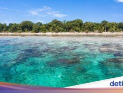 Tragis, Turis China Tenggelam Di Diving Di Pulau Sipadan