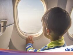 Duh! Pramugari Ini Keliru Berikan Wine Di Bocah 3 Tahun