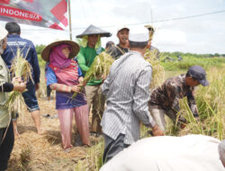 Dorong Transformasi Agrikultur, Kementan Perkuat Kelembagaan Petani Lewat Korporasi