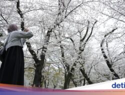 Jepang Diterpa Rumor Gempa Besar, Turis-Turis Batalkan Liburan