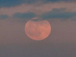 Standar Udara Berbahaya 50.000 Warga Florida Diminta Tidak Keluar Tempattinggal