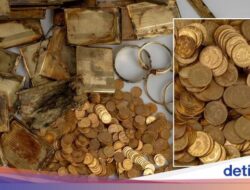 Pendaki Temukan 2 Kardus Harta Karun