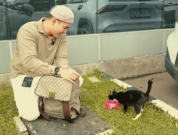 Robby Purba Lakukan Street Feeding sebagai Bentuk Kasih Sayang Bagi Kucing Jalanan