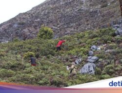 Pencarian Pendaki Hilang Di Gunung Binaiya Disetop, Pendakian Ditutup Sambil Itu