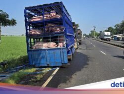 Apakah Najis Konsumsi Hasil Sawah yang Dialiri Air Bekas Cuci Babi?