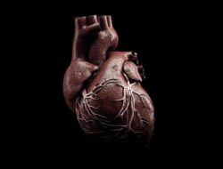 Idap Kemakmuran Langka, Wanita Ini Jantungnya Menghitam