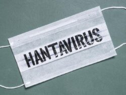 Kenali Tanda Awal Mikroba Hanta yang Mulai Muncul Ke Bandung