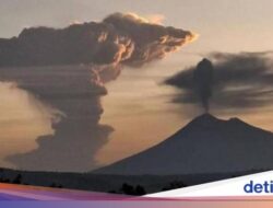 Penerbangan Terdampak Erupsi Lewotobi, WNA Diminta Perpanjang Izin Tinggal