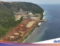 Surga Teripang, Nikel, dan Kearifan Lokal Bahari Raja Ampat