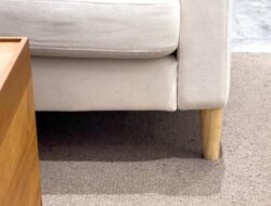 Perkara Pidana Hukum Medis Aneh, Pasien Gagal Ginjal Makan Busa Bangku Di Cuci Darah