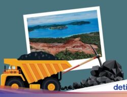 4 Pembantu Presiden Pembantu Presiden Berdosa Di Raja Ampat