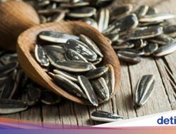 Seniman AS Hampir Gagal Terbang Gara-Gara Kuaci Biji Matahari