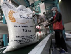 Stok Beras RI Capai 4 Juta Ton, Bulog Bicara Soal Standar