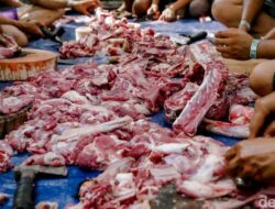 Bahaya Konsumsi Jeroan Berlebihan Di Kurban, Begini Kata Praktisi Medis