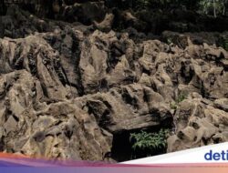 5 Wisata Alam Alternatif Puncak