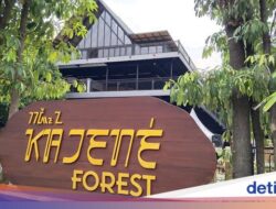 Objek Wisata Alam Ke Kuningan, Ada Hutan Di Kota