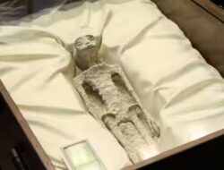 Lebih Aneh Bersama yang Ke Peru, Arkeolog Temukan Mumi Misterius Ke China