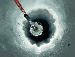 Makhluk Mirip Lobster Ditemukan Hingga Untuk Es Antartika, Begini Wujudnya