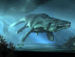 Monster Laut Sepanjang 24 Kaki Berusia 80 Juta Tahun Ditemukan