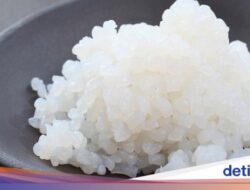 Praktisi Medis Internis Ungkap Jenis Nasi Paling Aman Buat Penderita Diabetes