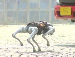 Polri Pamer Android Anjing Rp3 Miliar, Xiaomi Jual Cuma Rp29 Jutaan