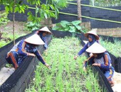 Inisiatif Hortikultura PGE Area Ulubelu Dorong Keadaan Komunitas