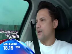 Kegundahan Biru dan Elang Mencari Amira