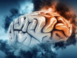 Bocah 9 Tahun Tewas Diserang Amoeba Pemakan Otak, Begini Awal Mulanya