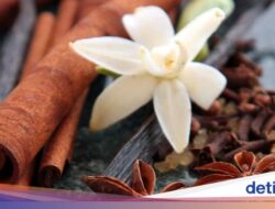 Terkuak, Kearifan Lokal Perawatan Sakral dan Unik Dayak Golik, Diwariskan Lewat Mimpi