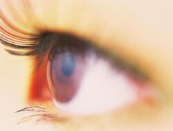 Aneh Tapi Nyata, Wanita Ini Lihat Kepala Naga Tiap Pandangi Wajah Orang