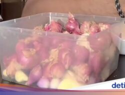 Kocak! Komentar Arya Khan usai Cicip Pisgor dan Donat Pinkan Mambo