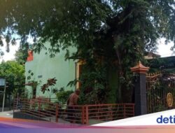 Cerita Pohon Asam Raksasa Berusia Ratusan Tahun Di Masjid Tua Klaten
