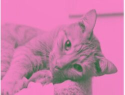 Cara Mudah Bikin Foto Pink Hijau Viral Ke Link brave-pink-hero-green.lovable.app