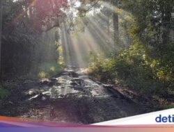 Mitos Asap Hingga Gunung Kareumbi, Dari Sebab Itu Pertanda Hujan Akansegera Datang