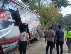 Kecelakaan Maut Kendaraan Angkutan Umum Nakes Jember Di Bromo, Ingat Pentingnya Seat Belt