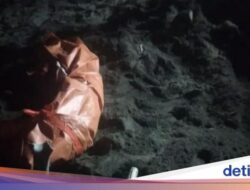 Turis Spanyol Ditemukan Dari Sebab Itu Mayat Di Pantai Senggigi, Hilang Sebelum Juli