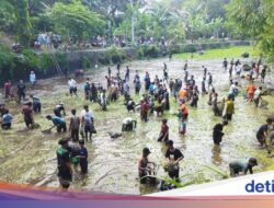 Kearifan Lokal Buka Tetek yang Unik Di Klaten, Pesertanya Ratusan Orang
