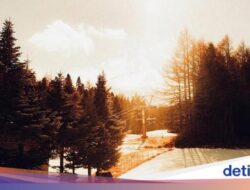 Musim Dingin, Tiga Kota, Segudang Cerita Seru Bersama Jepang