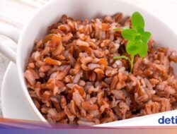 Masih Boleh Makan Nasi, Ini 4 Jenis Nasi yang Aman Sebagai Penderita Diabetes