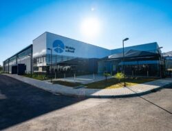 Brasil Membuka Pabrik Nyamuk Terbesar Hingga Dunia