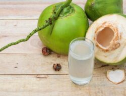 Benarkah Minum Air Kelapa Bisa Cegah Batu Ginjal? Begini Kata Peneliti IPB